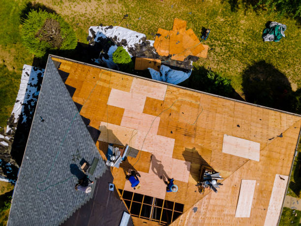 Best Metal Roofing Contractor  in Burlington, NC
