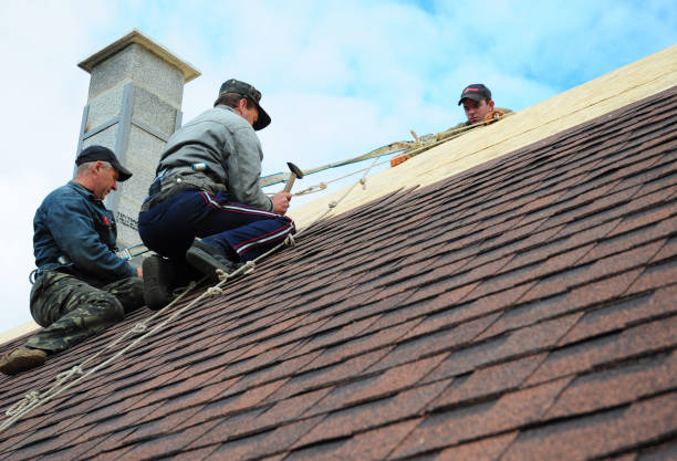 Best Residential Roofing Contractor  in Burlington, NC
